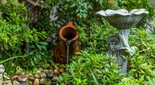 驚艷時(shí)光 庭院錦鯉魚池設(shè)計(jì)與園林綠化施工全解析